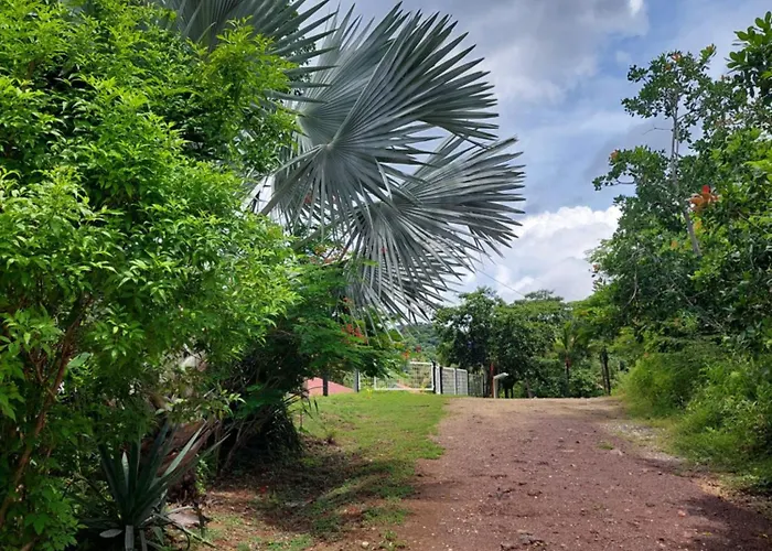 Casa Motmot Guanacaste Appartamento Puerto Viejo (Guanacaste)