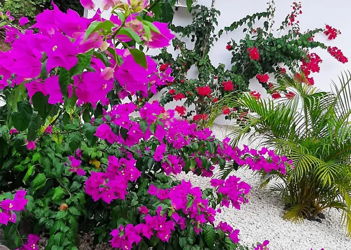 Apartamento Casa Motmot Guanacaste