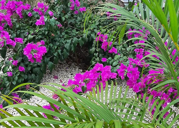 Casa Motmot Guanacaste Apartamento