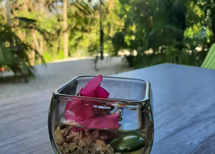Apartamento Casa Motmot Guanacaste Puerto Viejo de Talamanca