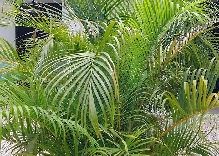 Casa Motmot Guanacaste